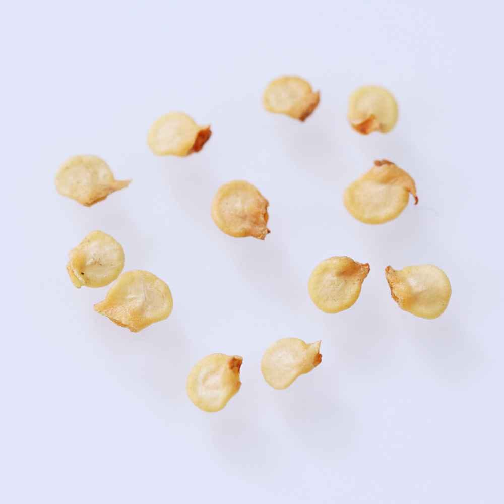 Sylheti Khala Naga Seeds - Image 2